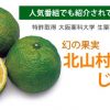 【花粉症 じゃばら】スッキリやZIPで紹介された和歌山県北山村産の『ナリルチン』含有の果実が凄いらしい