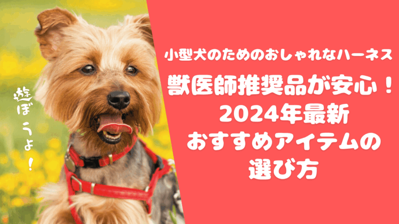 【小型犬のためのおしゃれなハーネス】獣医師推奨品が安心！2024年最新おすすめアイテムの選び方